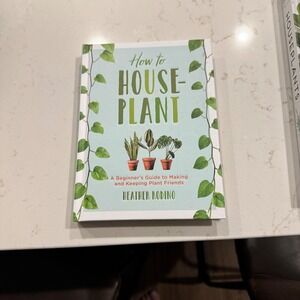 How to House Plant A Beginners Guide to Making and Keeping Plant Friends